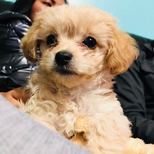 Meet your Posher, Melina